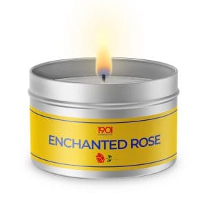 Enchanted Rose 2